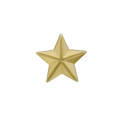 Брошь Эстет (Арт.01v030008)