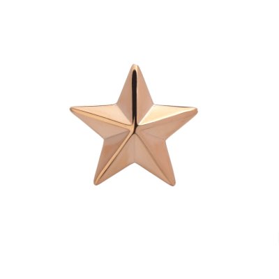 Брошь Эстет (Арт.01v050007a)