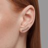 Серьги из белого золота с бриллиантами (Арт.1022200-3)