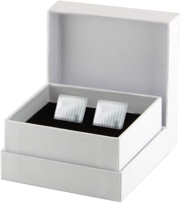 Запонки из ювелирного сплава с полимером (Арт.1-a-1000-20-p)