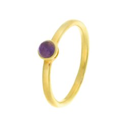 Кольцо из серебра с аметистом (Арт.rb-r00490-x-g-pur-x-x)
