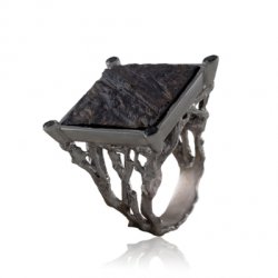 Серебряное кольцо BEAVERS с ореховым деревом 1784or_ox