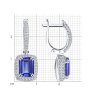 Серьги из белого золота с бриллиантами и танзанитами (Арт.6024466-3)