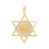 Кулон с бриллиантами «Звезда Света» золото 585 Myjewels (арт.P21712_PD_YG)