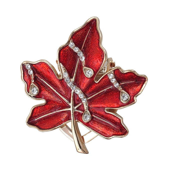 Брошь Эстет (Арт.u37sh101222k)