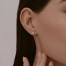 Серьги из серебра с бриллиантами (Арт.94-222-02093-1)