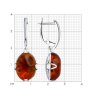 Серьги из серебра с янтарём (Арт.83020314)