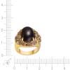 Кольцо из золота с бриллиантами и гранатом «Ночная Комета» MY JEWELS (арт.R600202GAN001_KO_DC_GRB_YG)