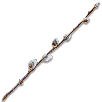 Брошь из серебра Т.Полякова &quot;Верба&quot; (Арт.41468)