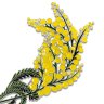 Серебряная брошь "Мимоза" Русские самоцветы (Арт.41473)