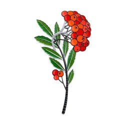 Брошь из серебра с фианитами и эмалью (Арт.94049012)