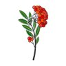 Брошь из серебра с фианитами и эмалью (Арт.94049012)