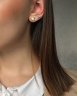 Серьги Серебряные крылья (Арт.022027847gp_opalsint)