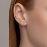 Серьги из комбинированного золота с бриллиантами (Арт.1022260)