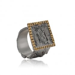 Серебряное кольцо BEAVERS с цирконом 1896cr_ox